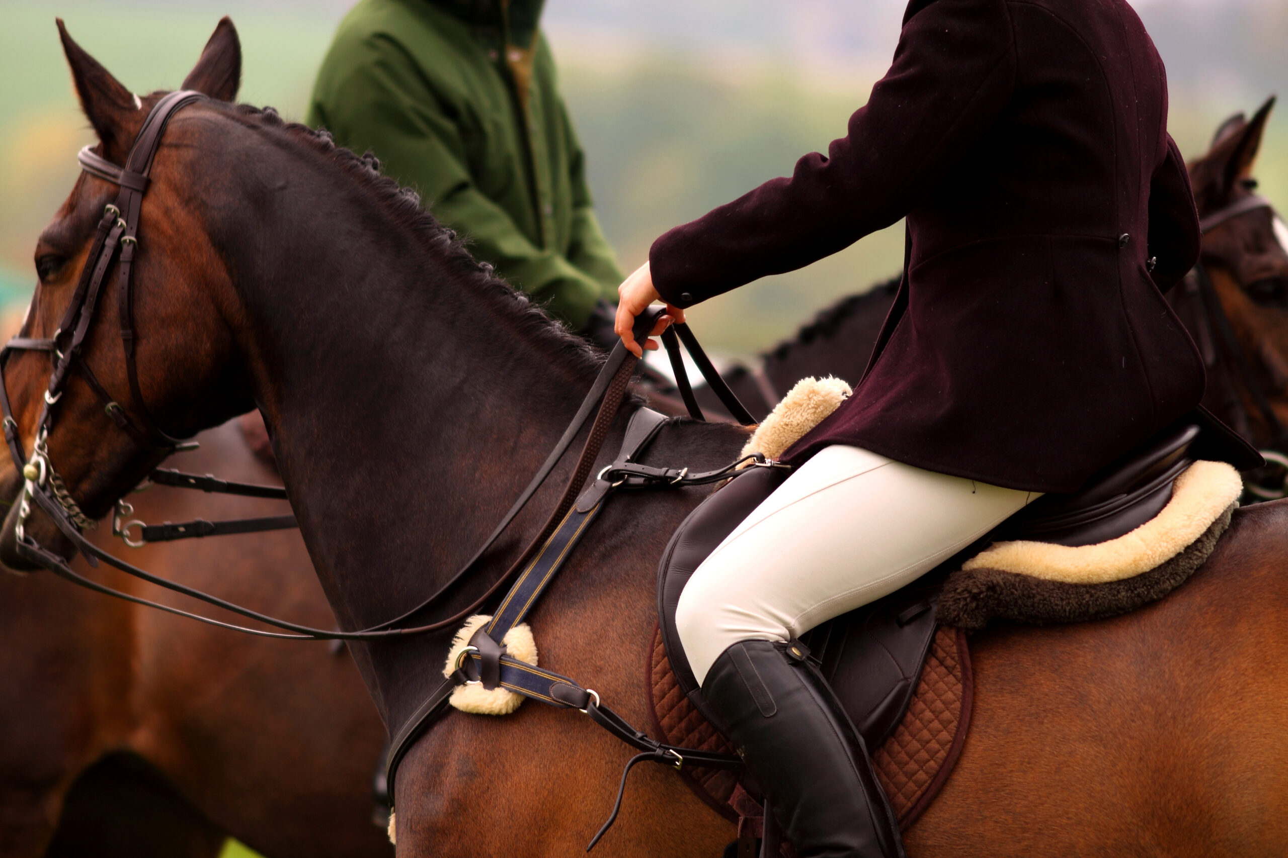 Fly Rug Washing Houghton